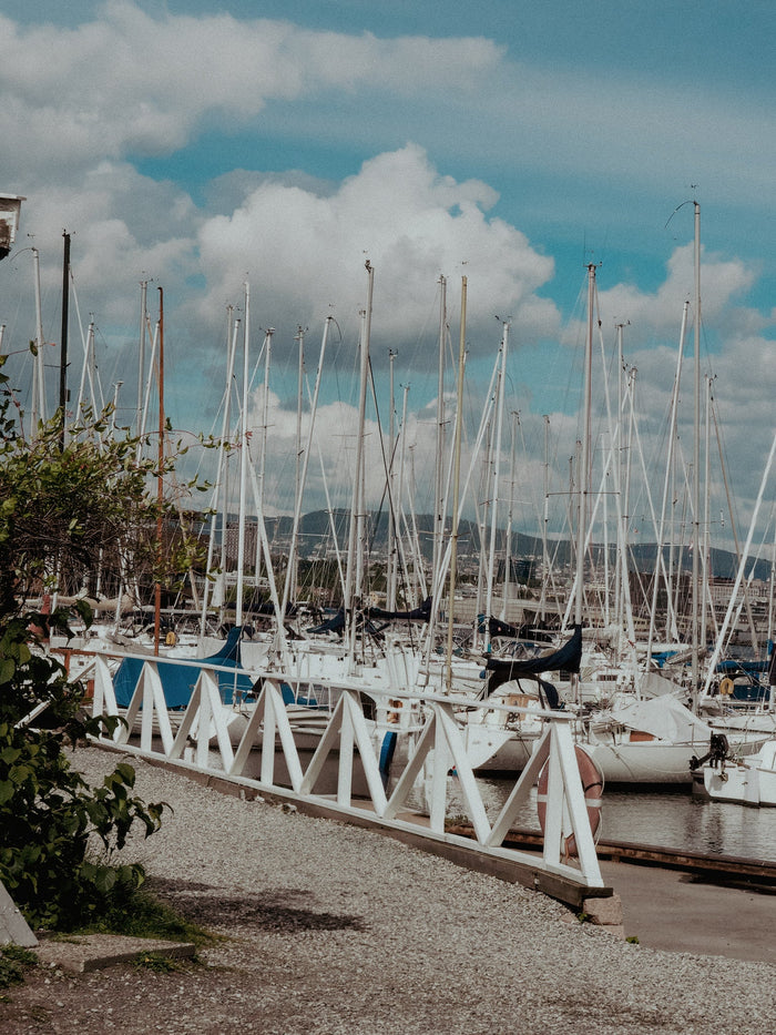 A Norwegian marina with boats docked